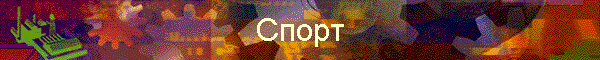 Спорт